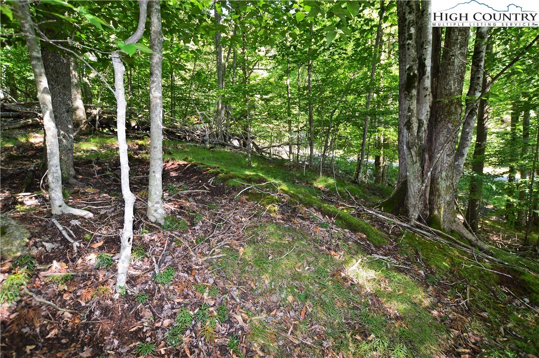 Image number 11 for the current listing