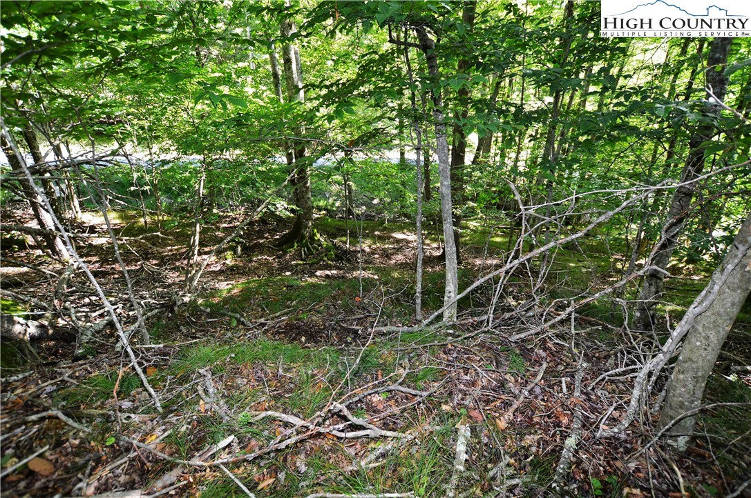 Image number 10 for the current listing
