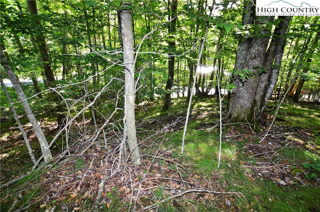 Image number 9 for the current listing