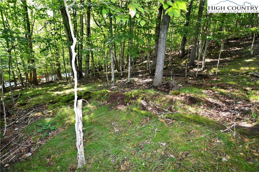 Image number 8 for the current listing