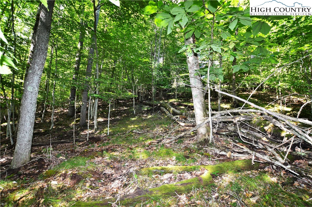 Image number 7 for the current listing