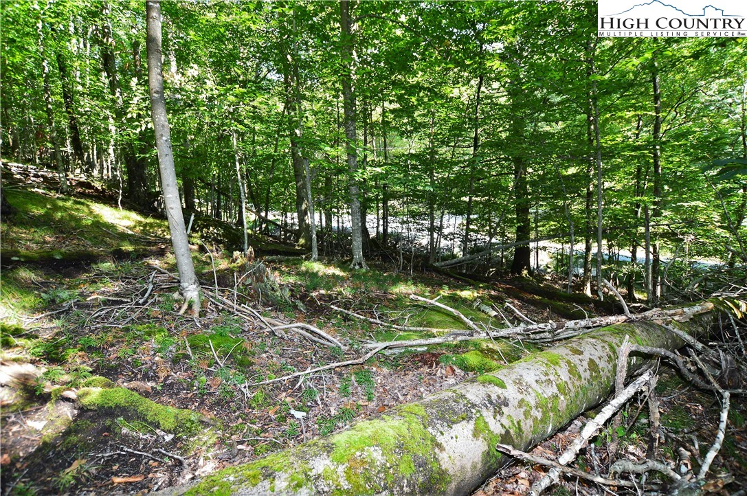 Image number 6 for the current listing