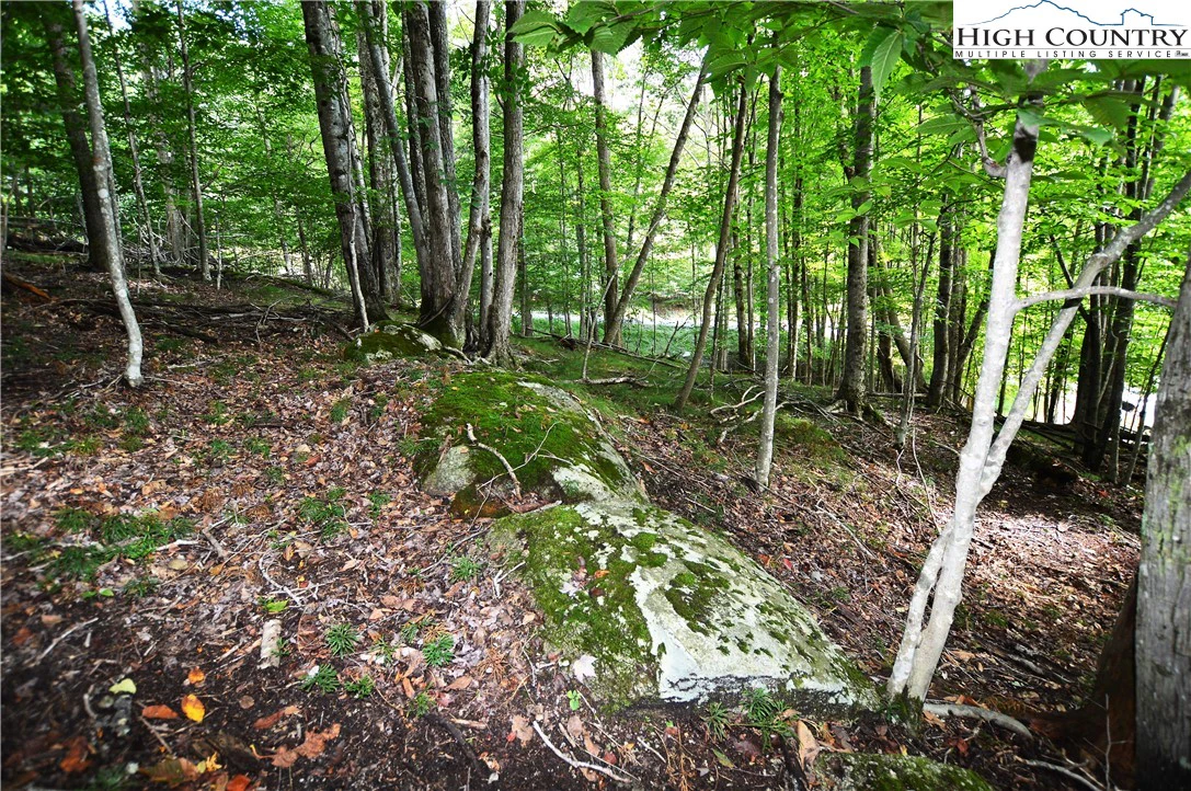 Image number 5 for the current listing