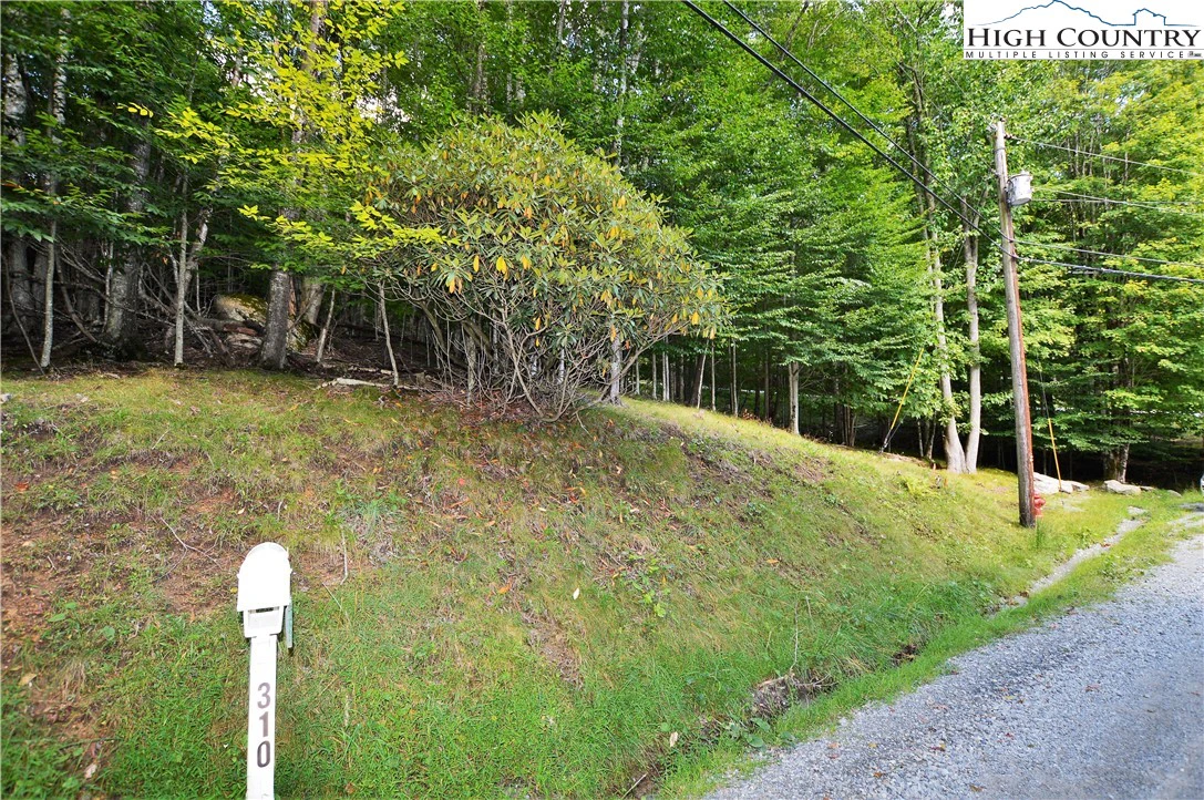 Image number 3 for the current listing