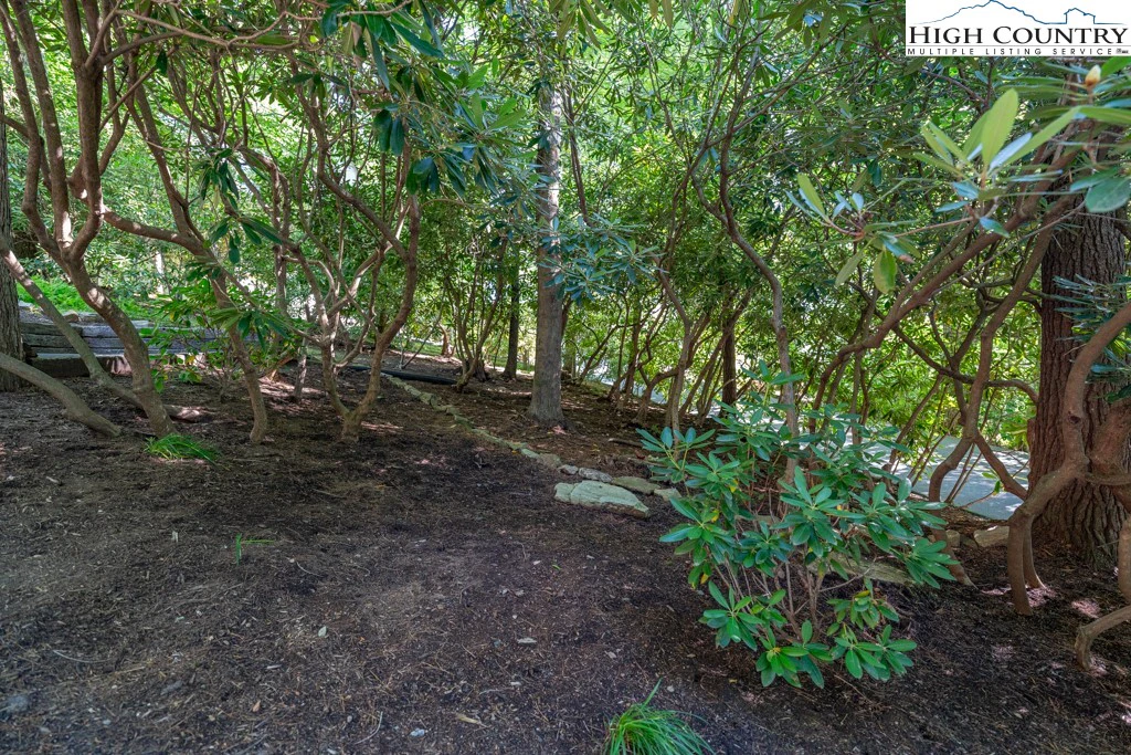 Image number 4 for the current listing