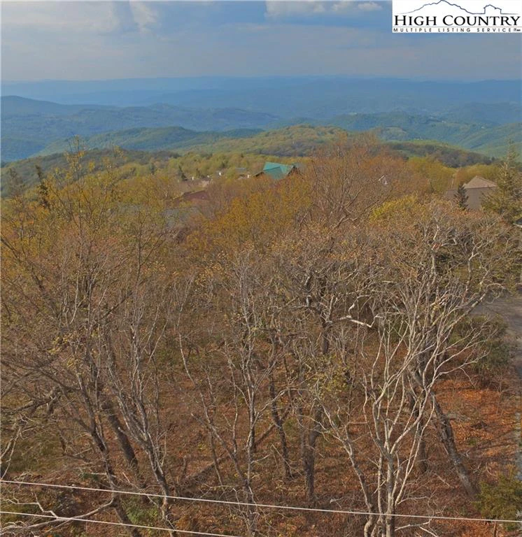 Image number 1 for the current listing