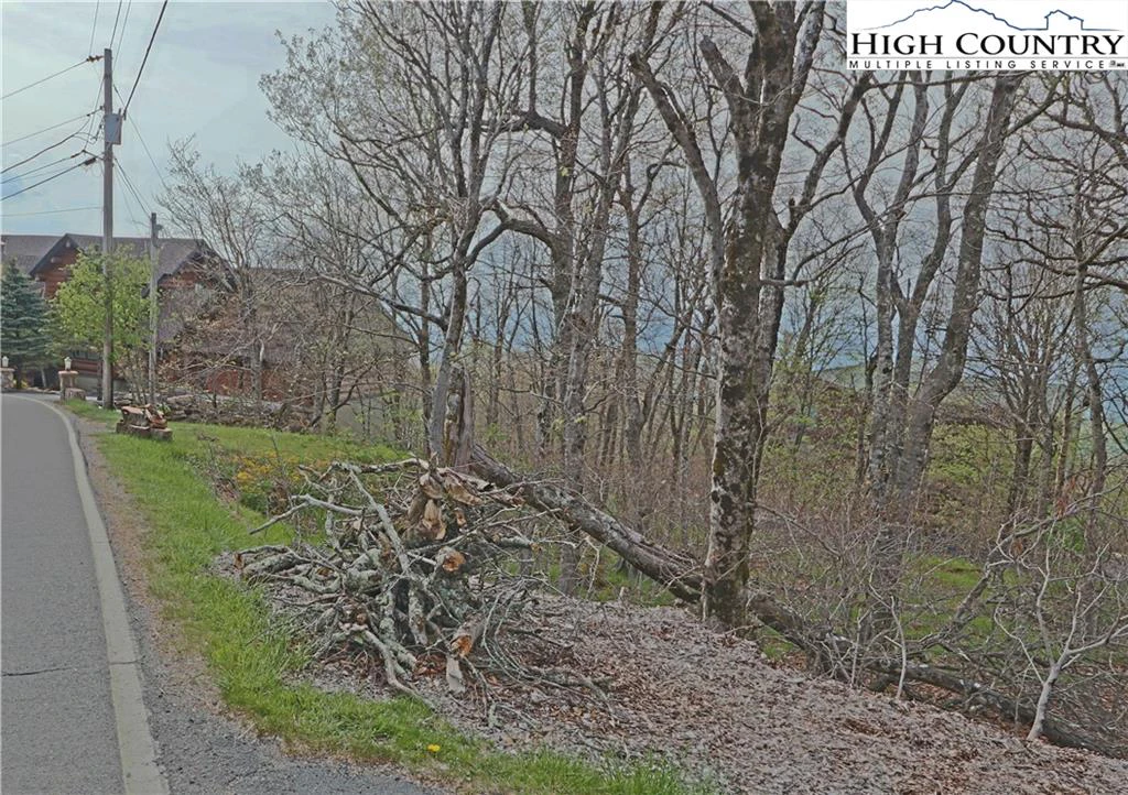 Image number 3 for the current listing
