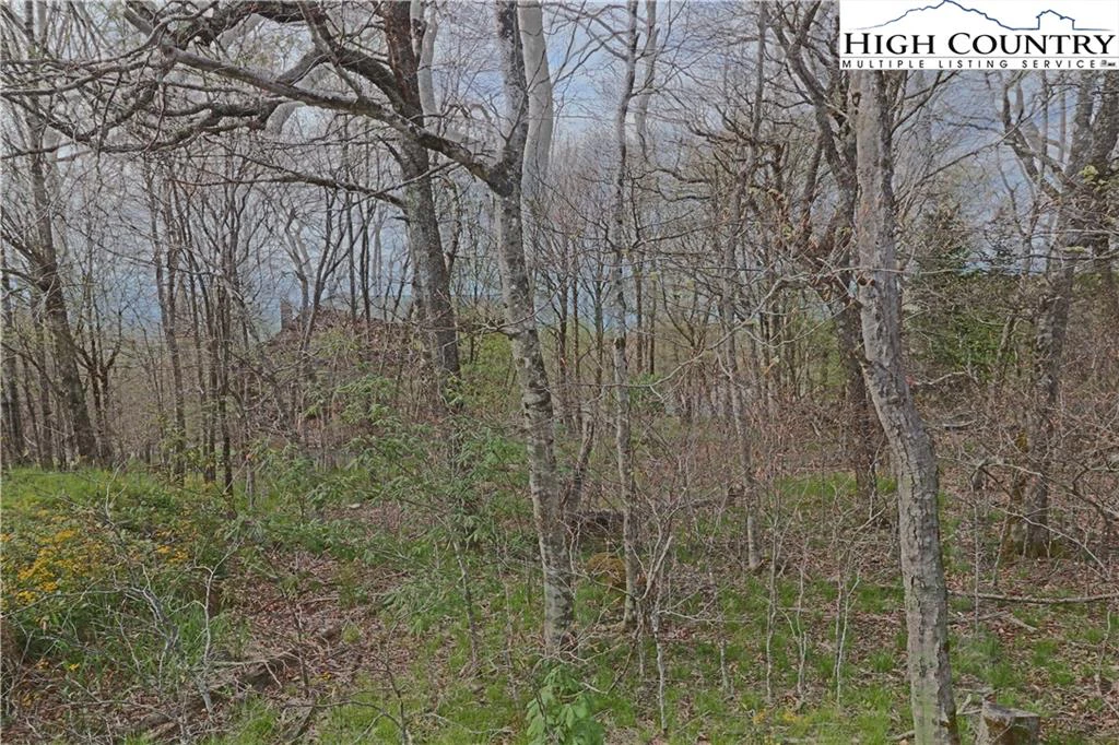 Image number 4 for the current listing