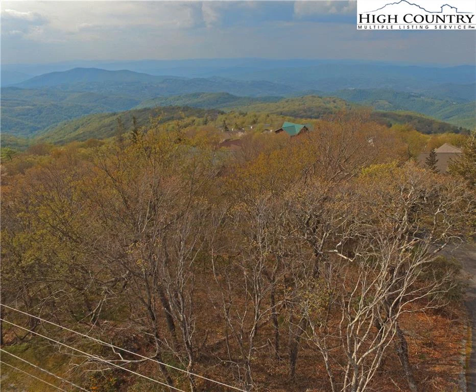 Image number 5 for the current listing