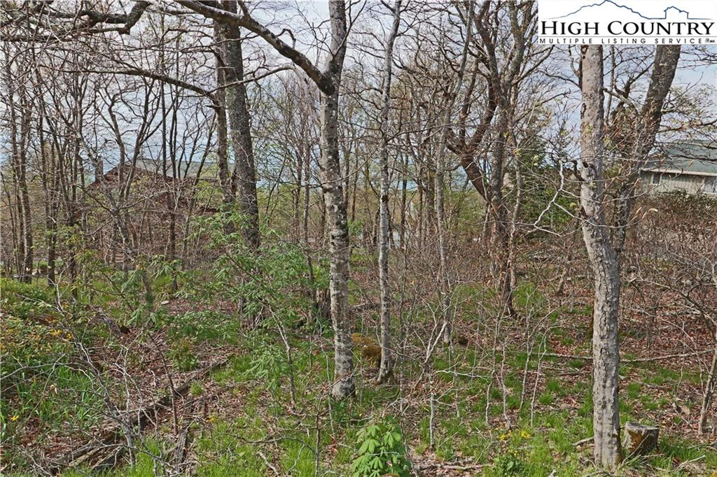 Image number 6 for the current listing