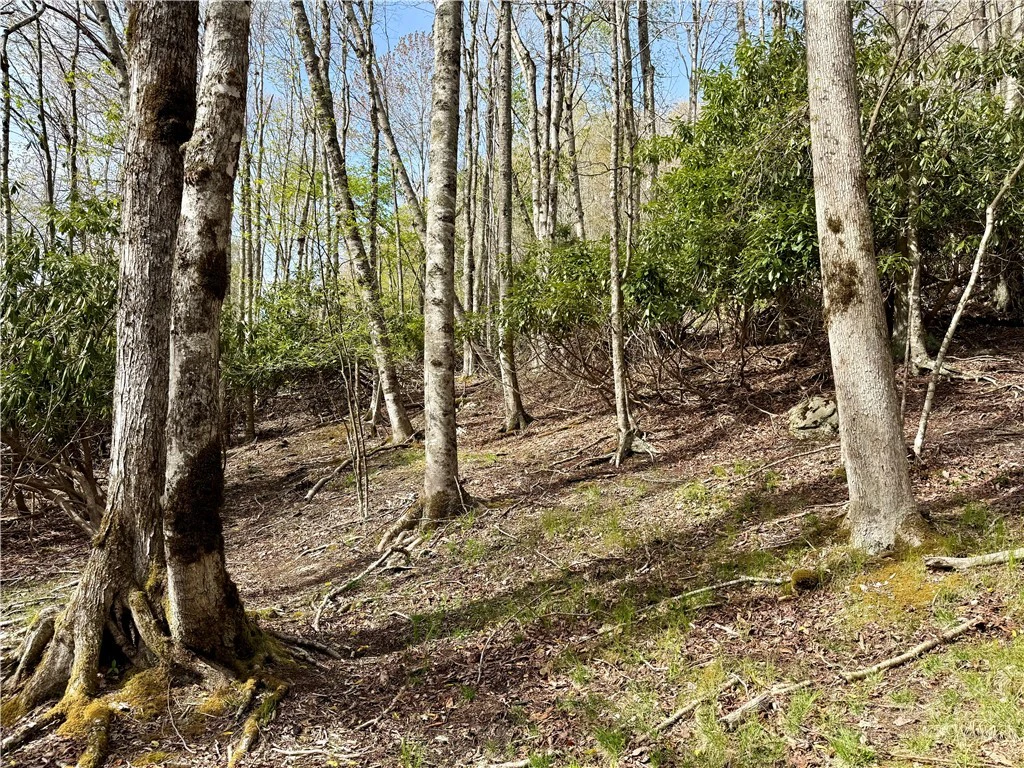 Image number 8 for the current listing