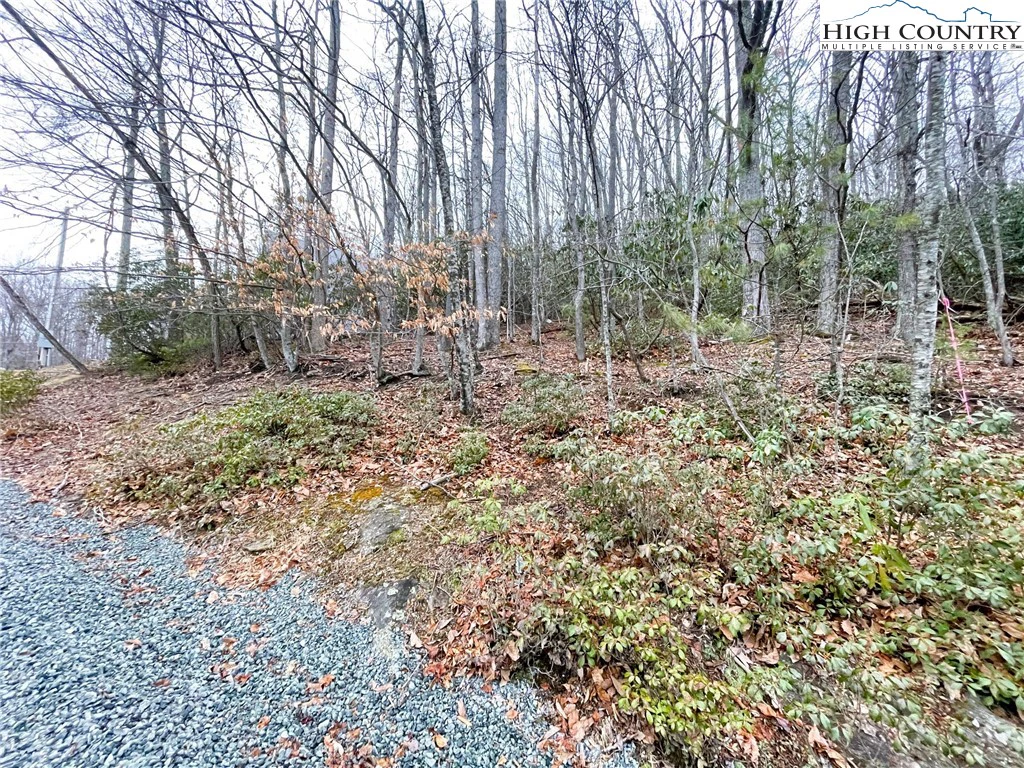 Image number 4 for the current listing