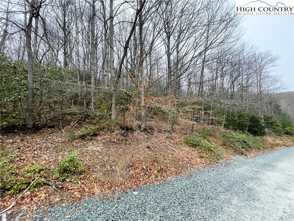 Image number 1 for the current listing