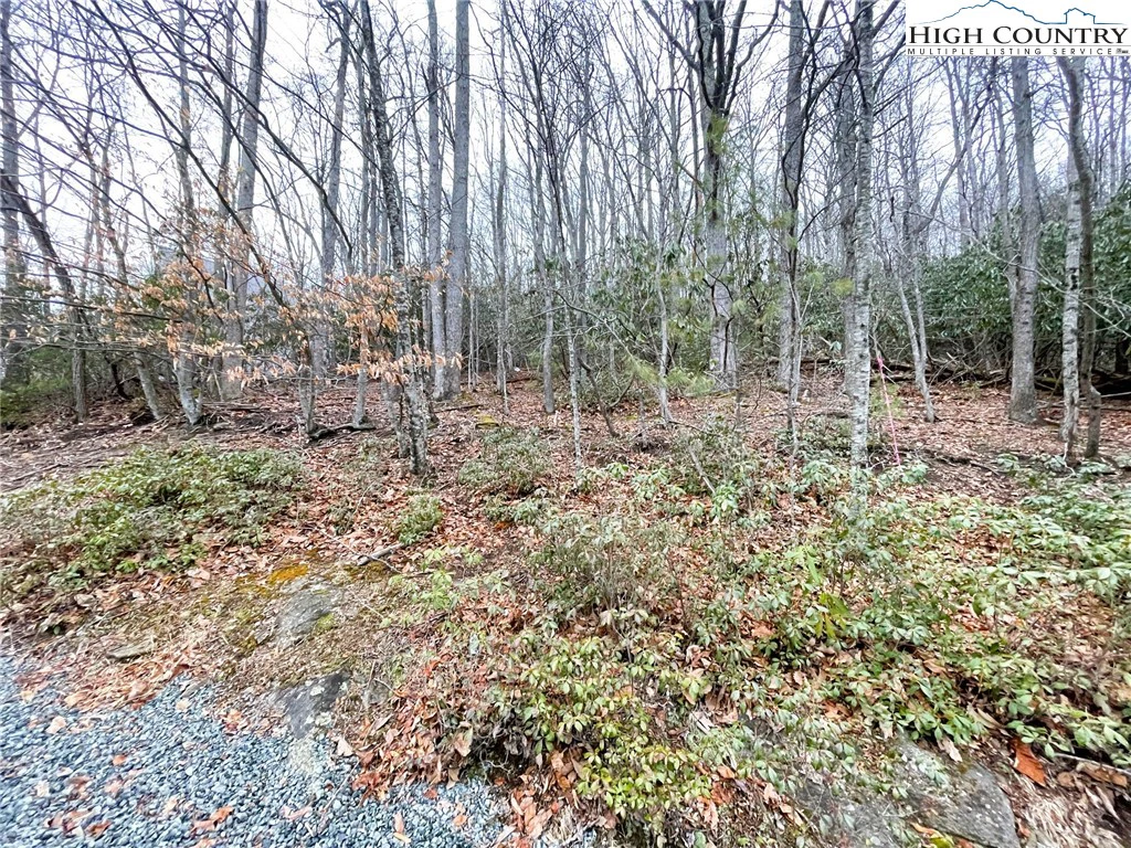 Image number 5 for the current listing