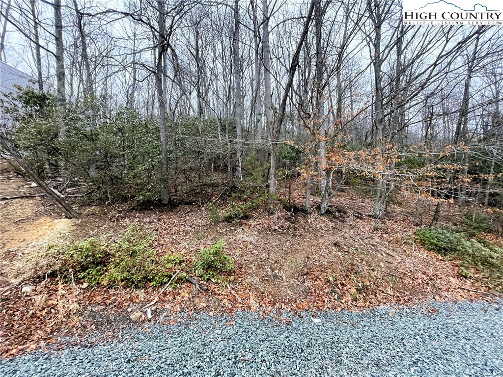 Image number 6 for the current listing