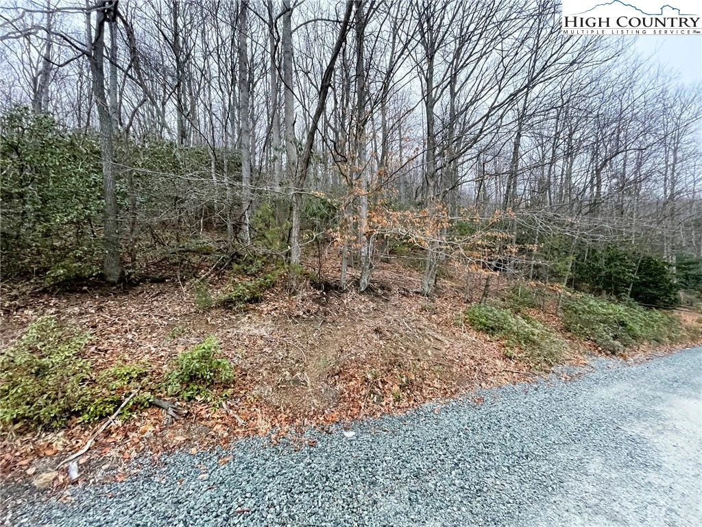 Image number 7 for the current listing