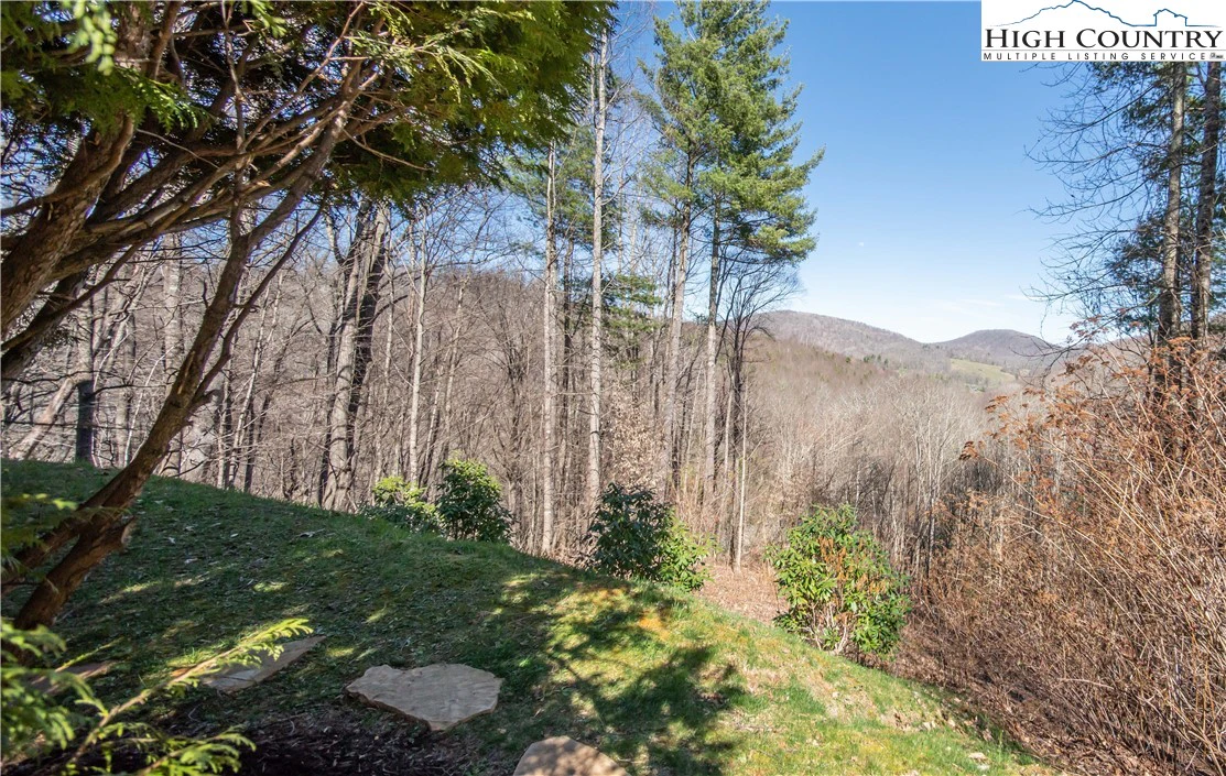 Image number 6 for the current listing