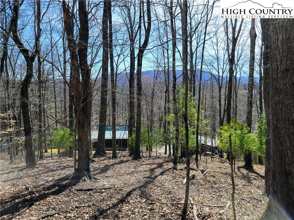 Image number 9 for the current listing