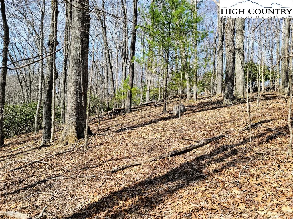 Image number 8 for the current listing