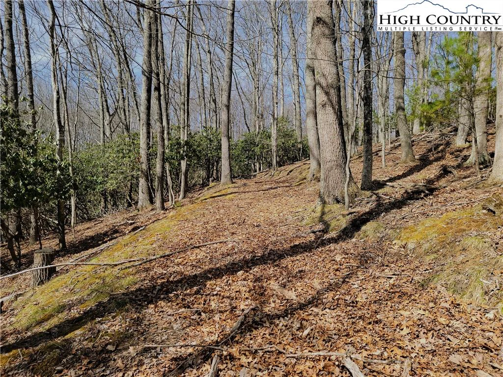 Image number 7 for the current listing