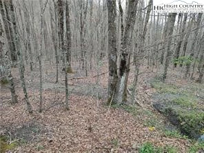 Image number 1 for the current listing