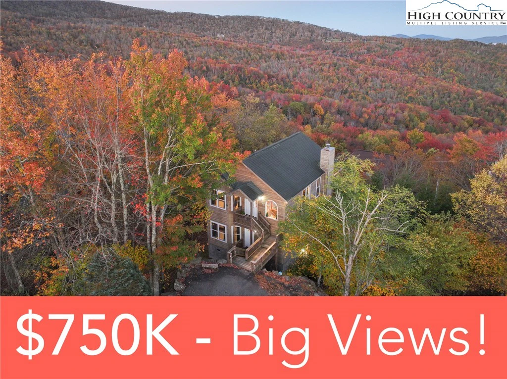 Image number 1 for the current listing