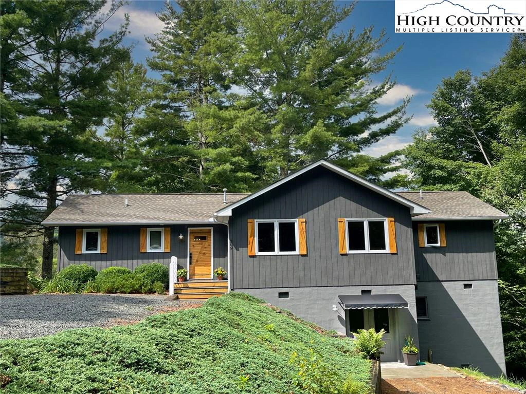 Image number 1 for the current listing