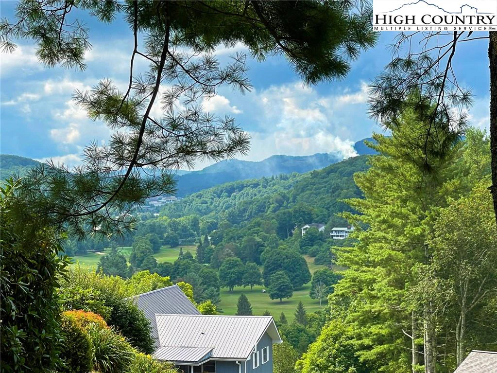 Image number 4 for the current listing