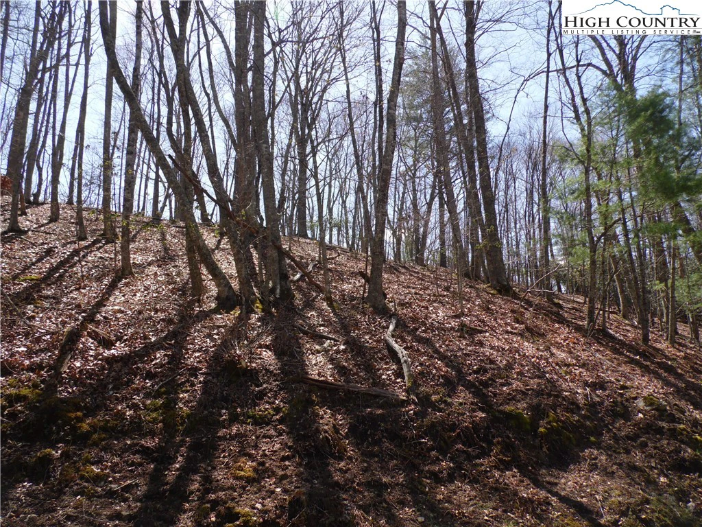 Image number 1 for the current listing