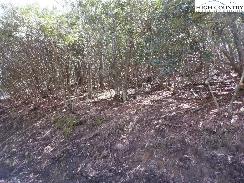 Image number 7 for the current listing