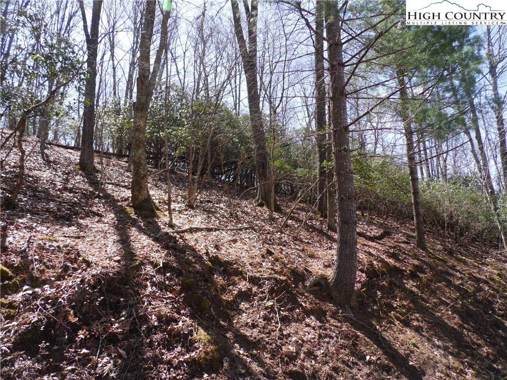 Image number 9 for the current listing