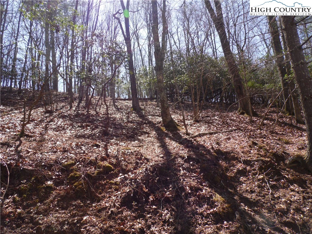 Image number 13 for the current listing