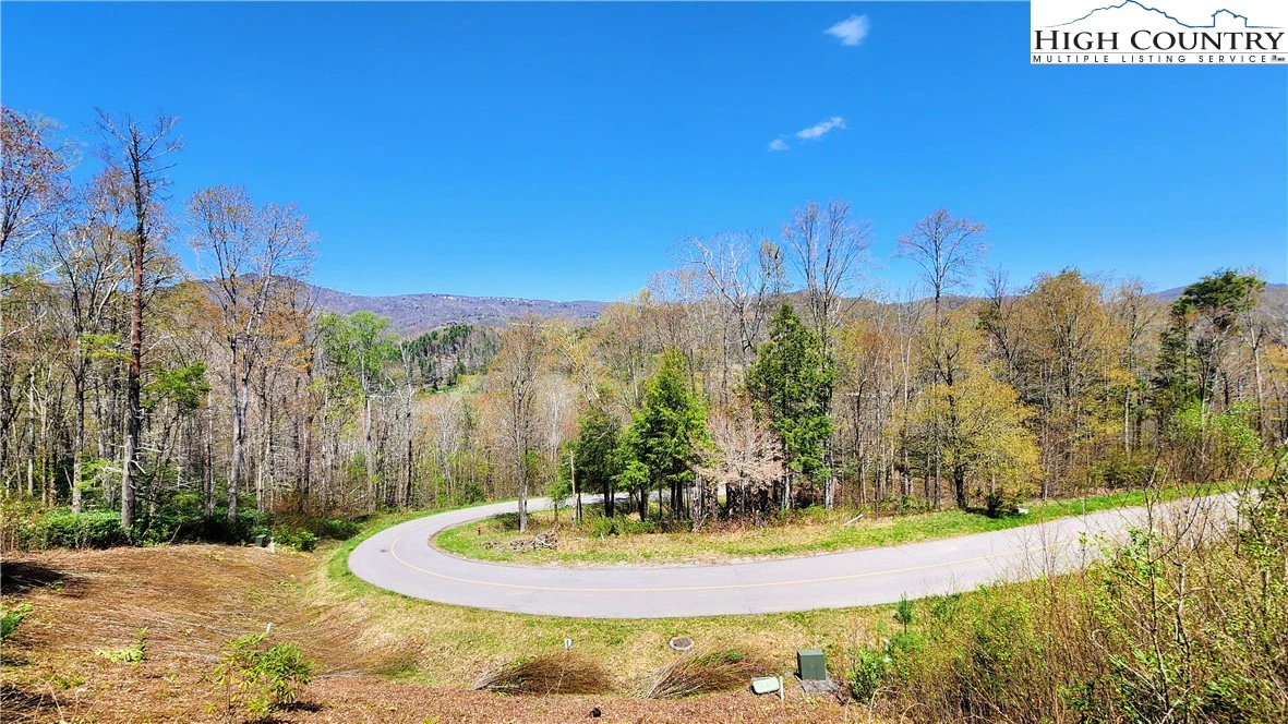 Image number 1 for the current listing