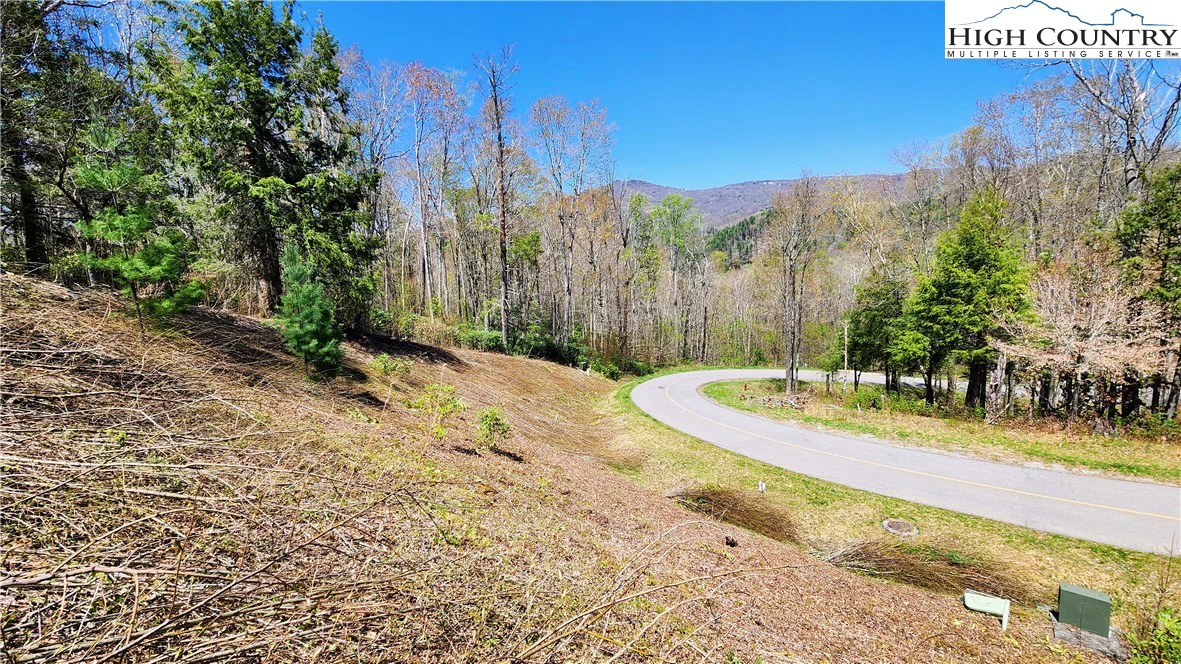 Image number 3 for the current listing