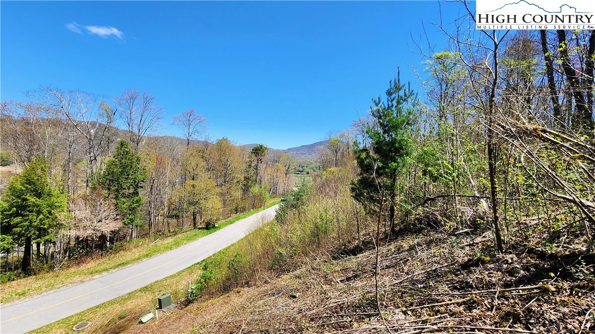 Image number 4 for the current listing