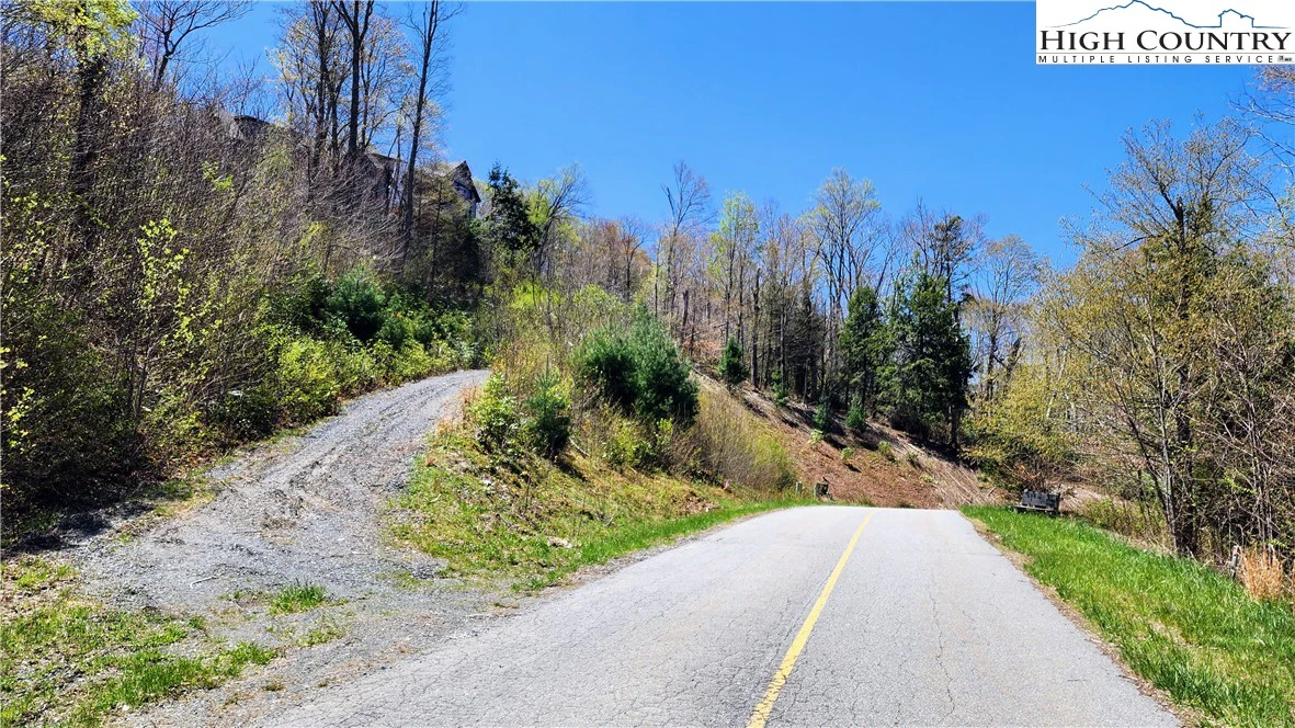 Image number 5 for the current listing