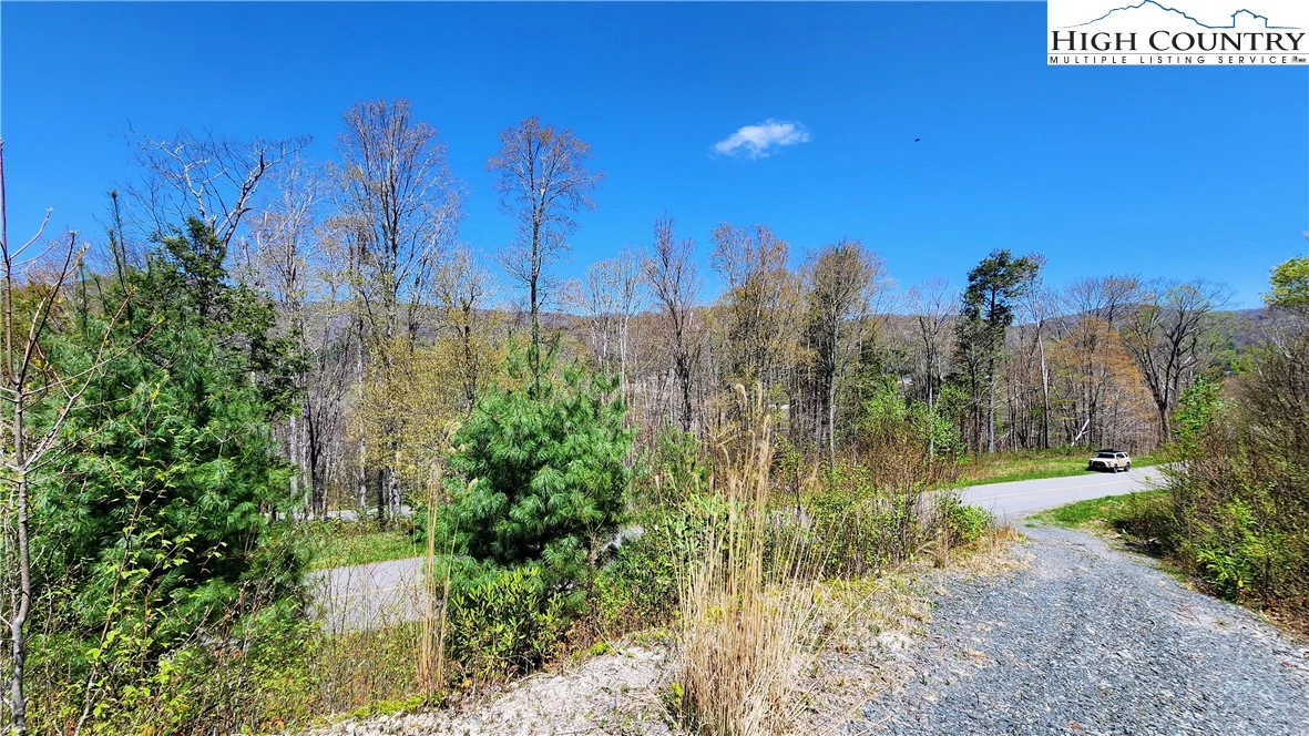 Image number 6 for the current listing