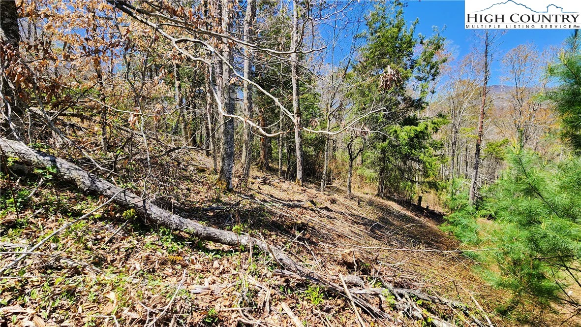 Image number 7 for the current listing
