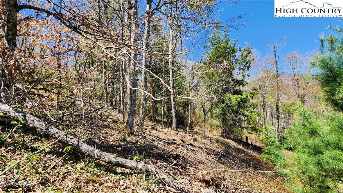 Image number 8 for the current listing