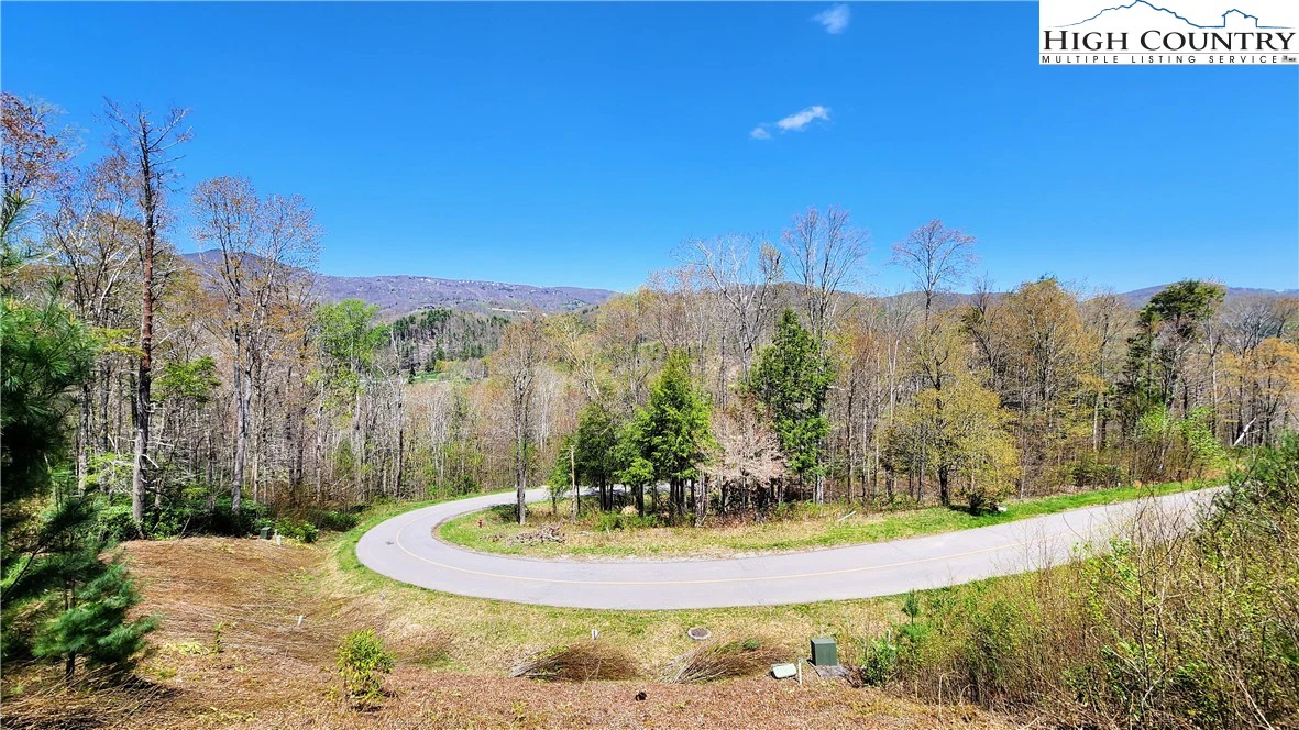 Image number 9 for the current listing