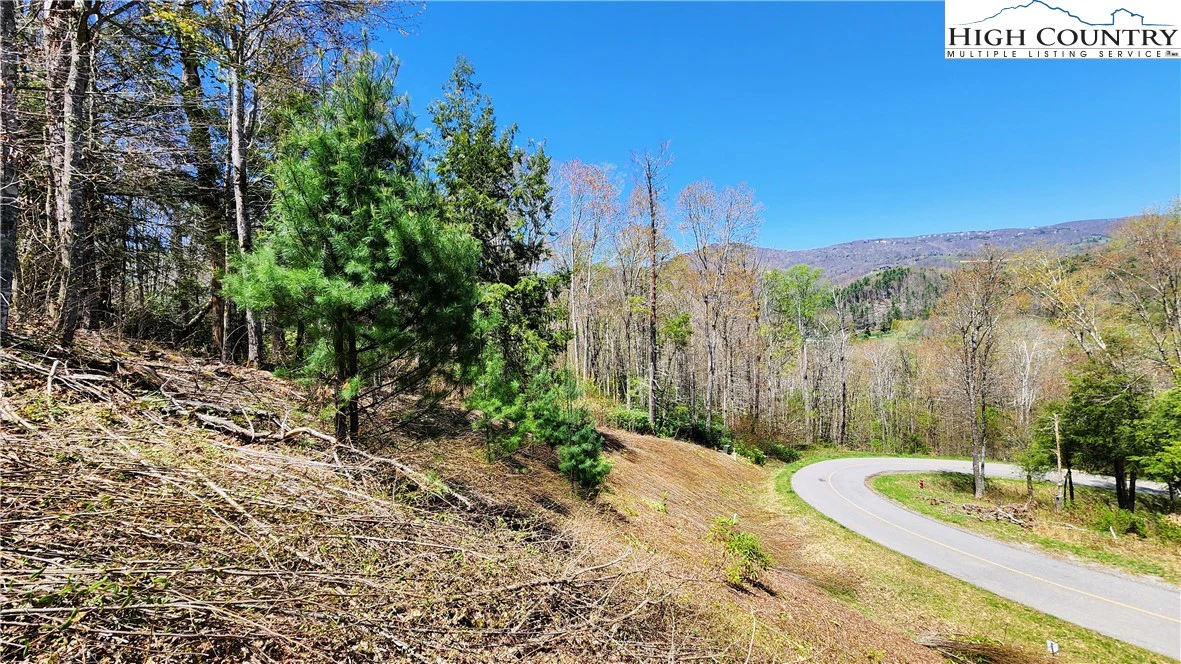 Image number 10 for the current listing