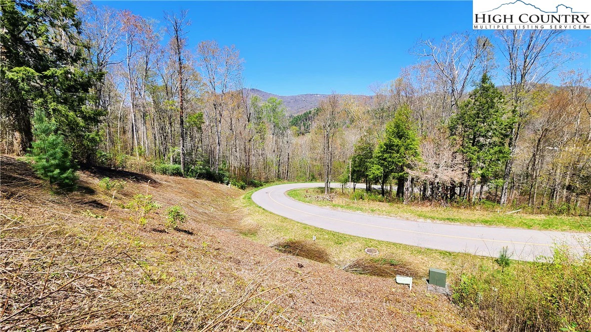 Image number 11 for the current listing