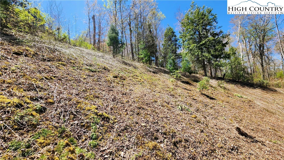 Image number 12 for the current listing
