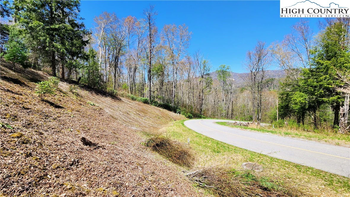 Image number 13 for the current listing