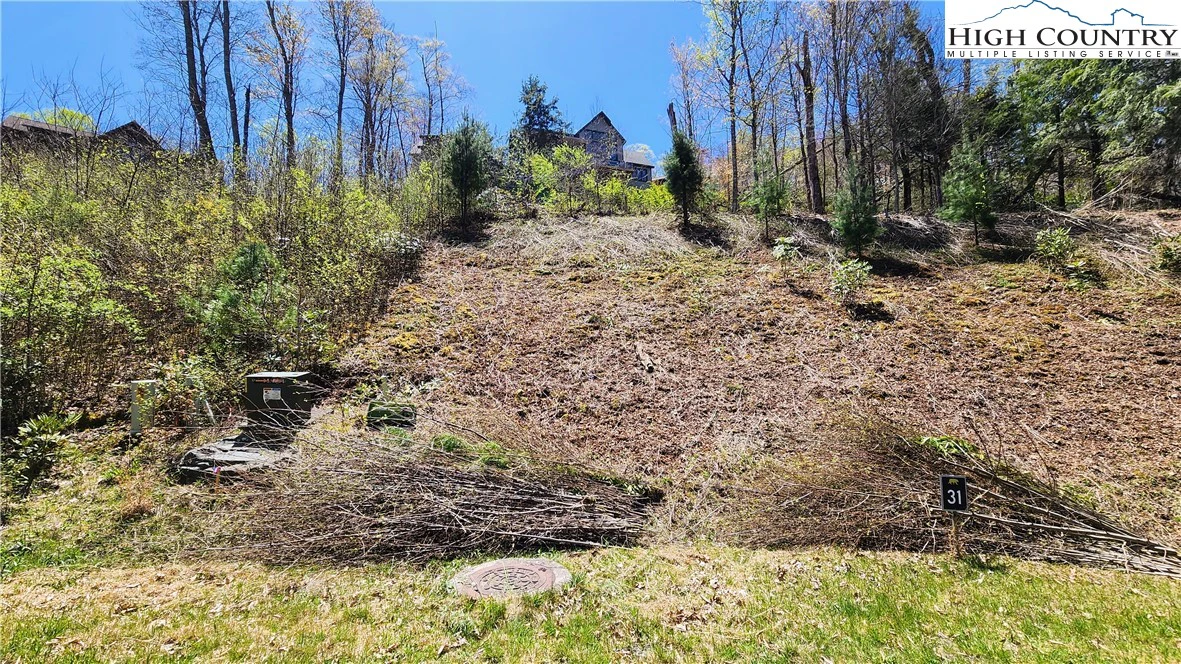Image number 15 for the current listing