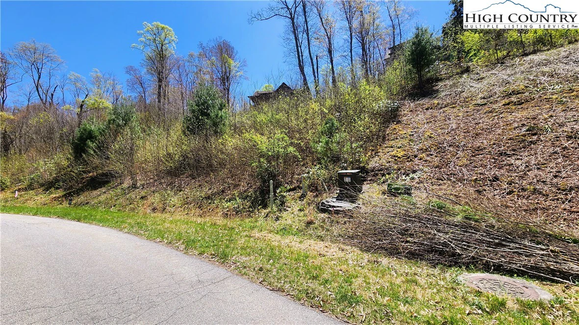 Image number 16 for the current listing