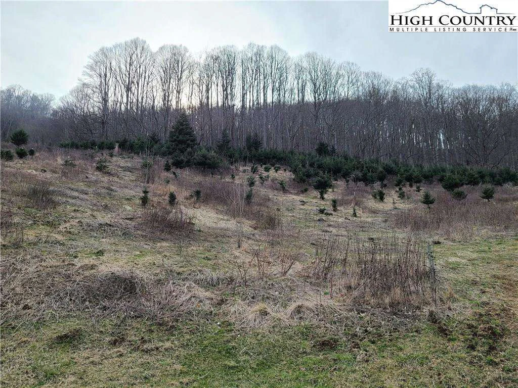 Image number 21 for the current listing