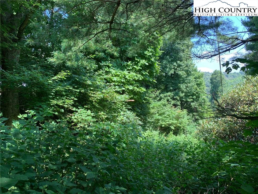Image number 4 for the current listing