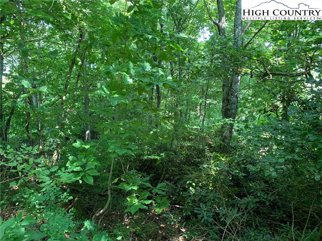 Image number 5 for the current listing