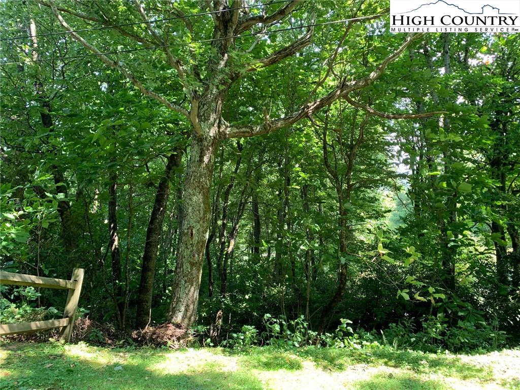 Image number 6 for the current listing